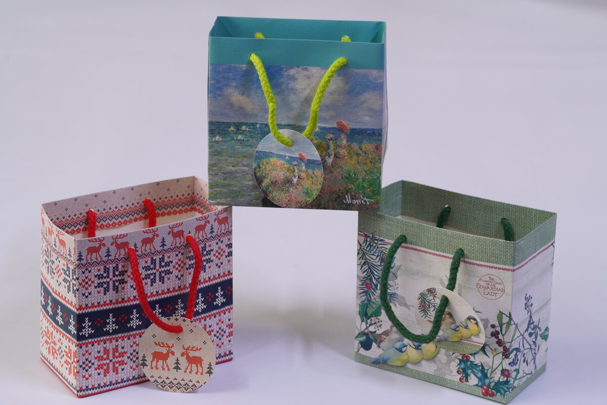 Shopping Bags product 3